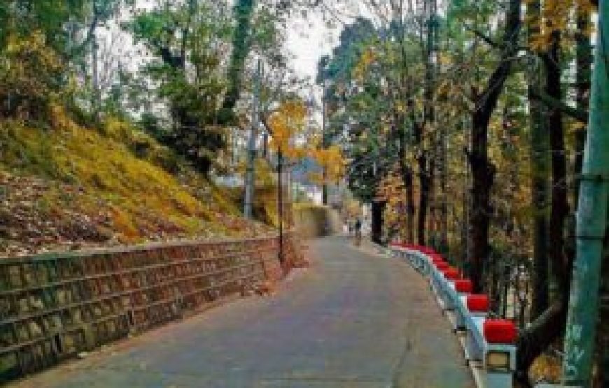 5-Day Murree & Pir Chinasi Adventure with Ghoomophirro