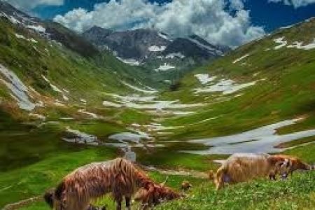 CHITRAL & KUMRAT TOUR