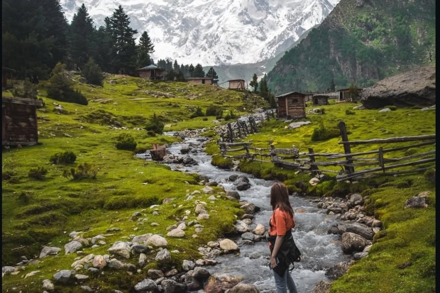 5-Days Trip to Fairy Meadows & Nanga Parbat Base Camp