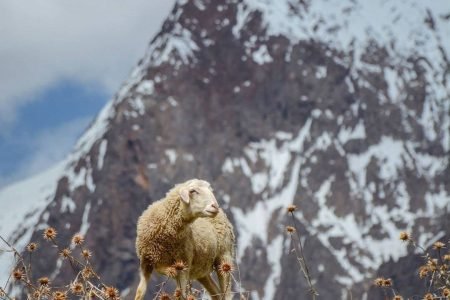 3-Day Swat Valley Getaway
