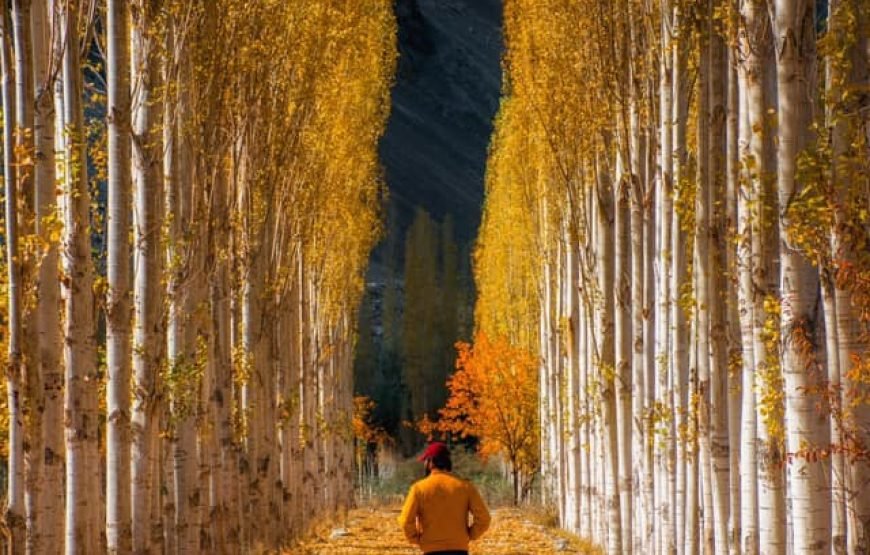 7-Day Skardu Road Trip (Honda BRV, via Naran-Babusar-Chilas)