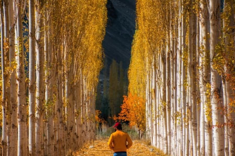 Family Fun in Skardu |11 Days Tour To Skardu & Naran